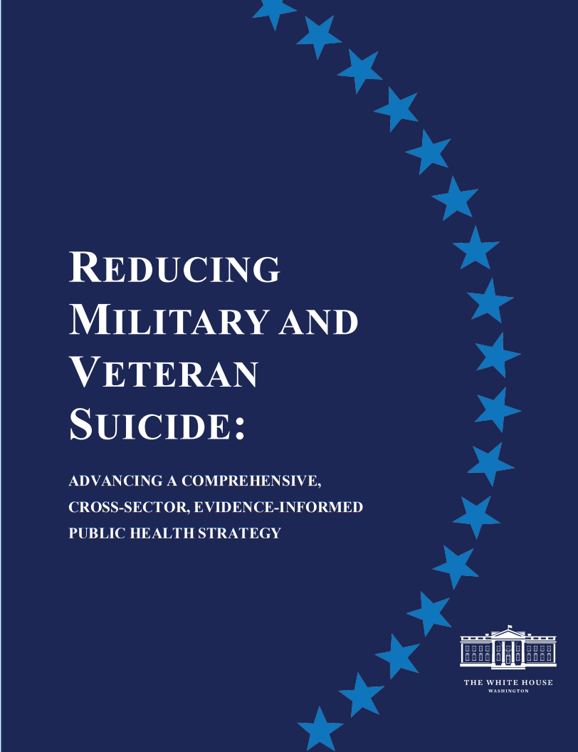 Reducing Military and Veteran Suicide document