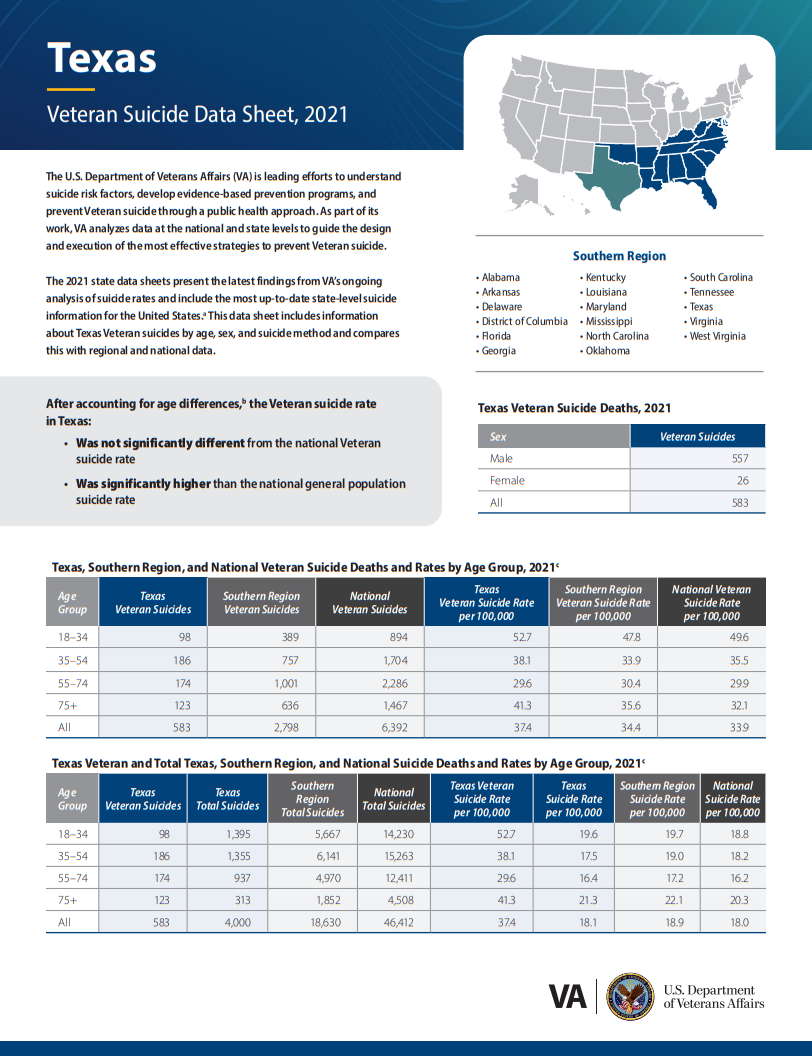 2023 National Veteran Suicide Prevention Annual Report document